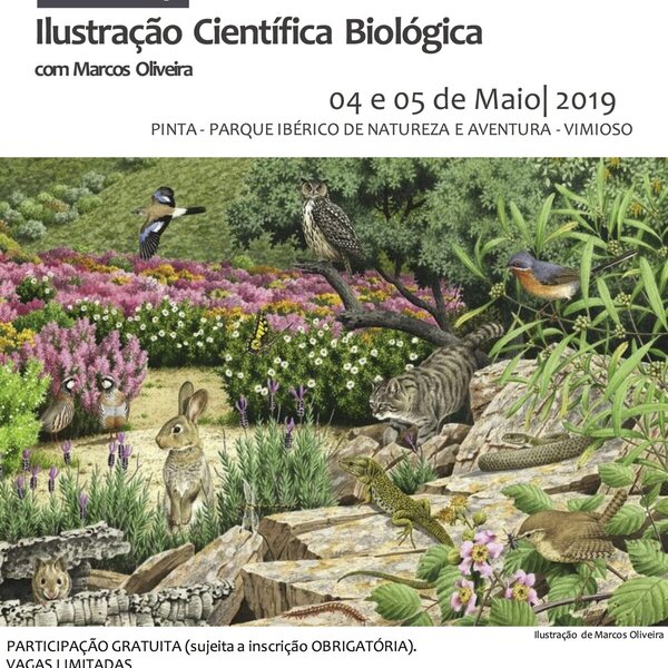cartaz_ilustracao_cientifica_scaled