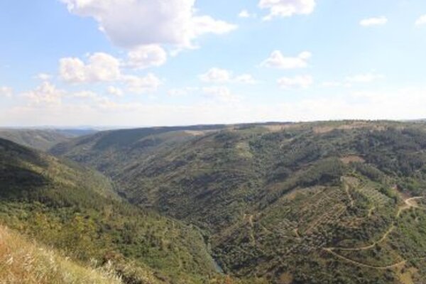 santuariobartolomeu4_370x255