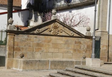 Fonte do cano ou tanque Brasonado