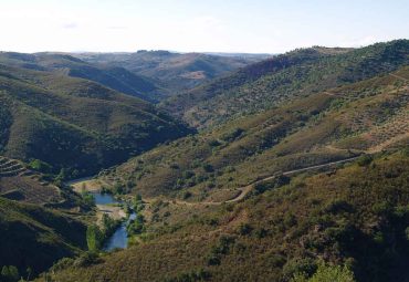 O Canto (Foz do Maçãs)